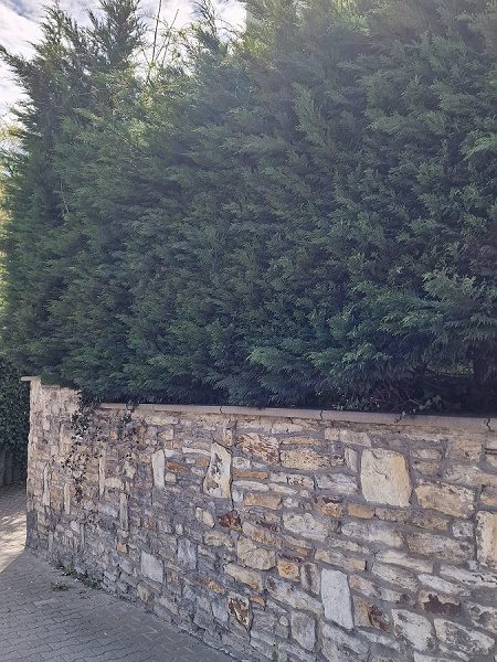 Natursteinmauer Einfriedungen