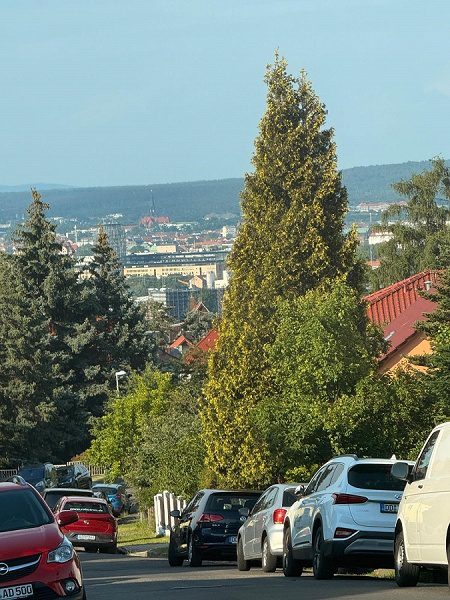 Blick von Straße i.R. Stadt