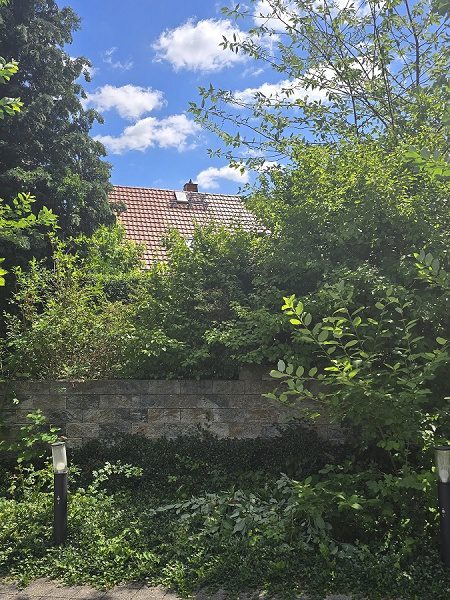 Ansicht hinten zum Haus