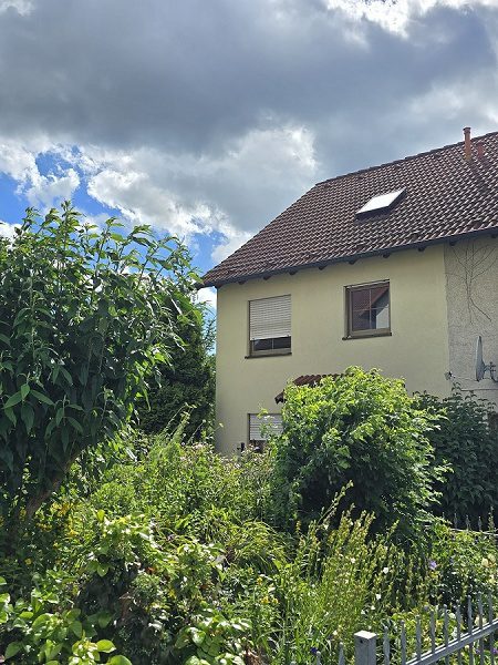 Sicht zum REH im OG & DG